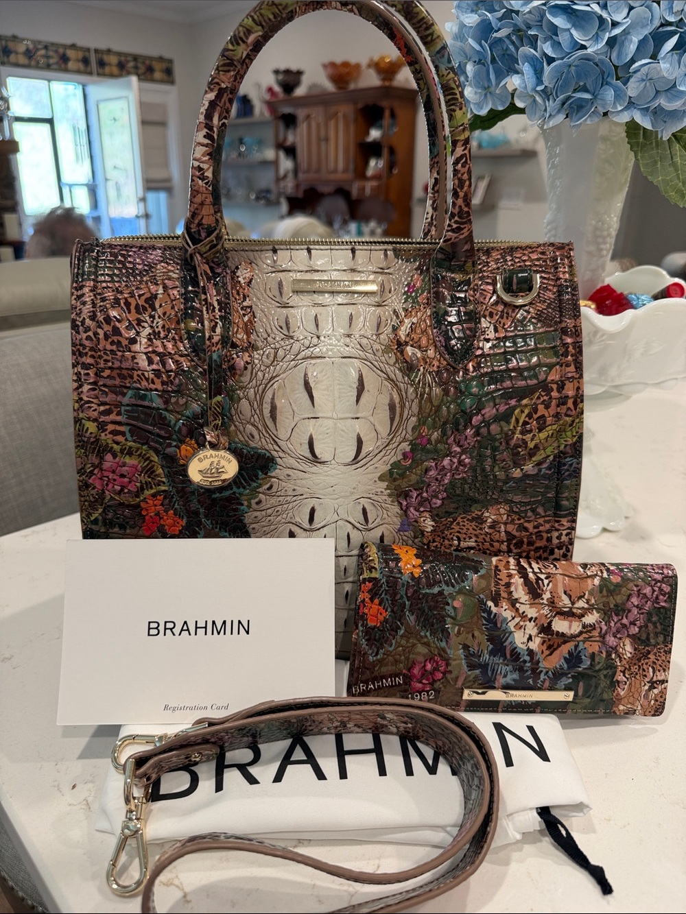Brahmin Caroline in Acadia Ombré with Matching Adele Wallet